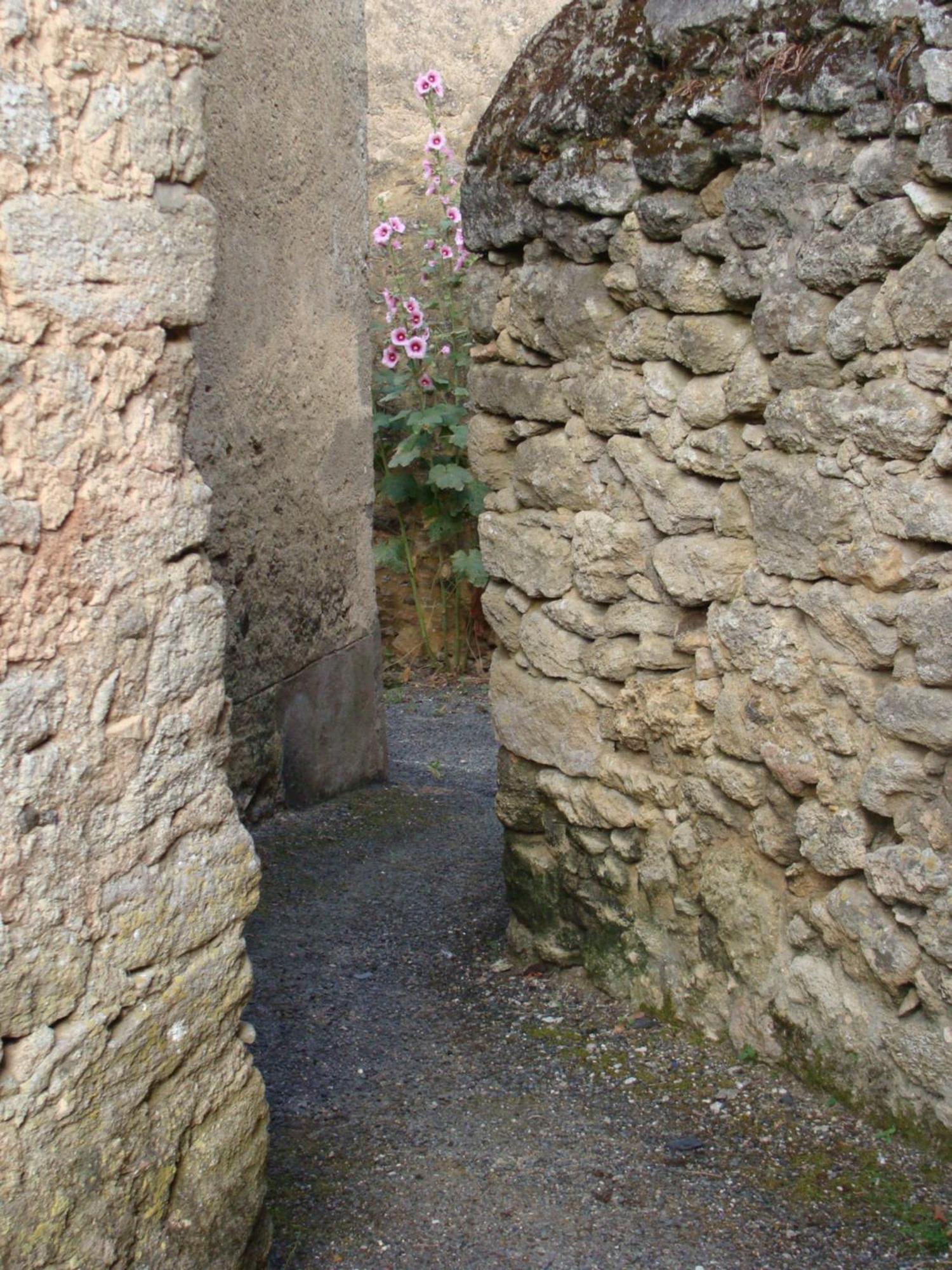 Gite Cote Ruelle Martigné-Briand Extérieur photo